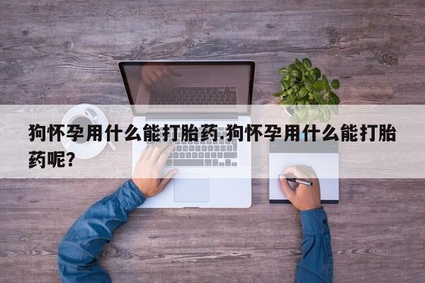 打胎药在线下单{发顺丰的快递1至2天到货}狗怀孕用什么能打胎药.狗怀孕用什么能打胎药呢？