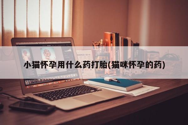 打胎药在线下单{发顺丰的快递1至2天到货}小猫怀孕用什么药打胎(猫咪怀孕的药)