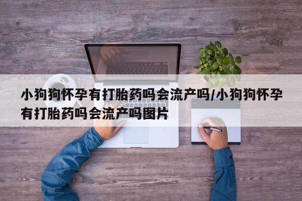 打胎药在线下单{发顺丰的快递1至2天到货}小狗狗怀孕有打胎药吗会流产吗/小狗狗怀孕有打胎药吗会流产吗图片