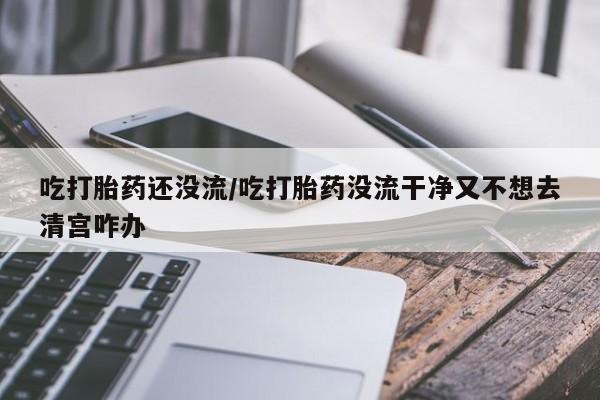 打胎药在线下单{发顺丰的快递1至2天到货}吃打胎药还没流/吃打胎药没流干净又不想去清宫咋办