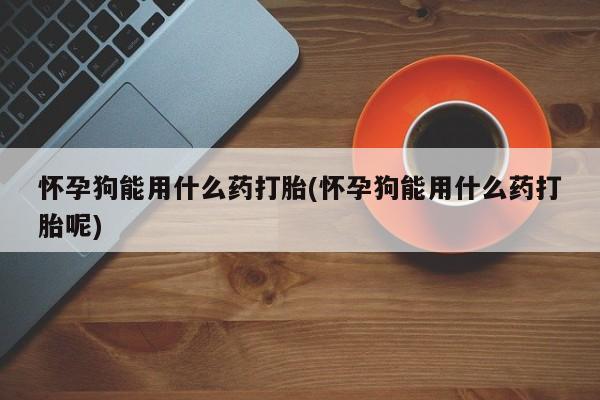 打胎药在线下单{发顺丰的快递1至2天到货}怀孕狗能用什么药打胎(怀孕狗能用什么药打胎呢)