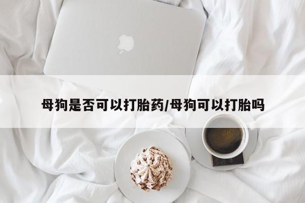 打胎药在线下单{发顺丰的快递1至2天到货}母狗是否可以打胎药/母狗可以打胎吗